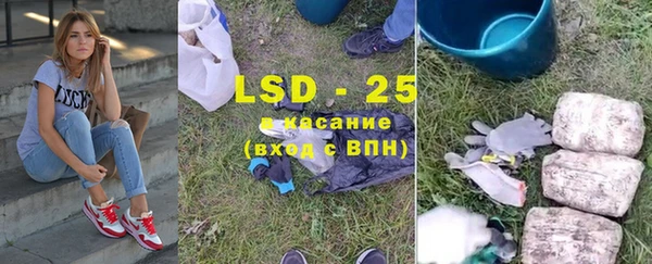 PSILOCYBIN Беломорск