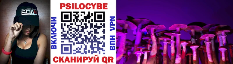Купить где  Нововоронеж  Псилоцибиновые грибы Cubensis 